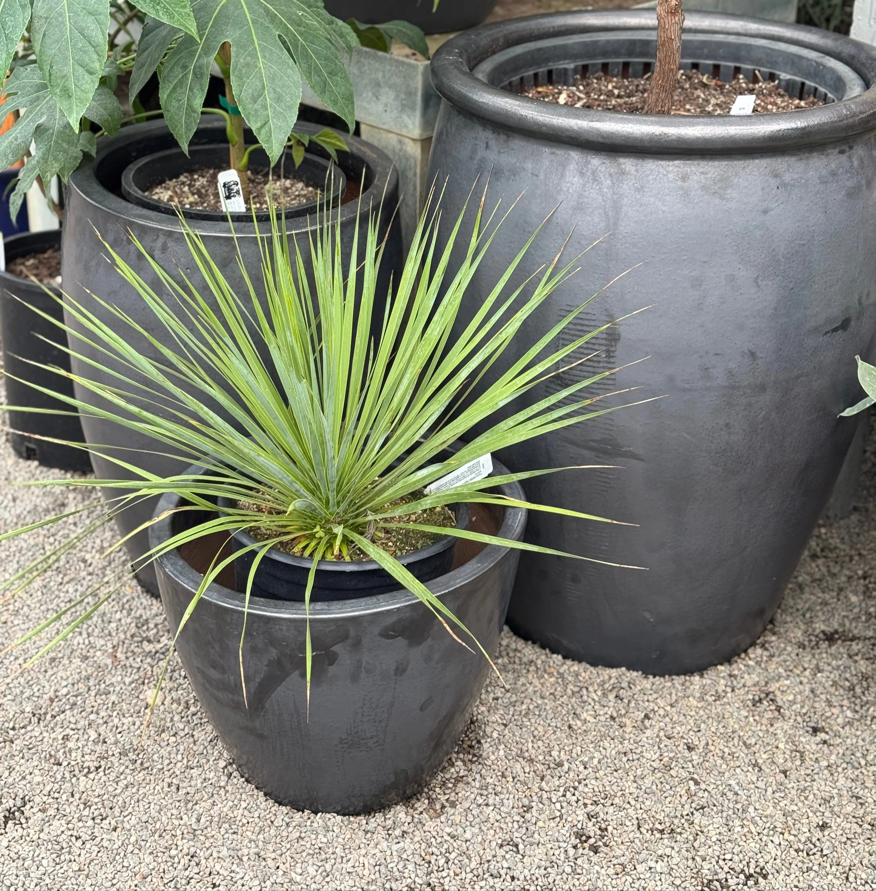 *RETAIL - Bloke Pottery - Matte Black - Image 3