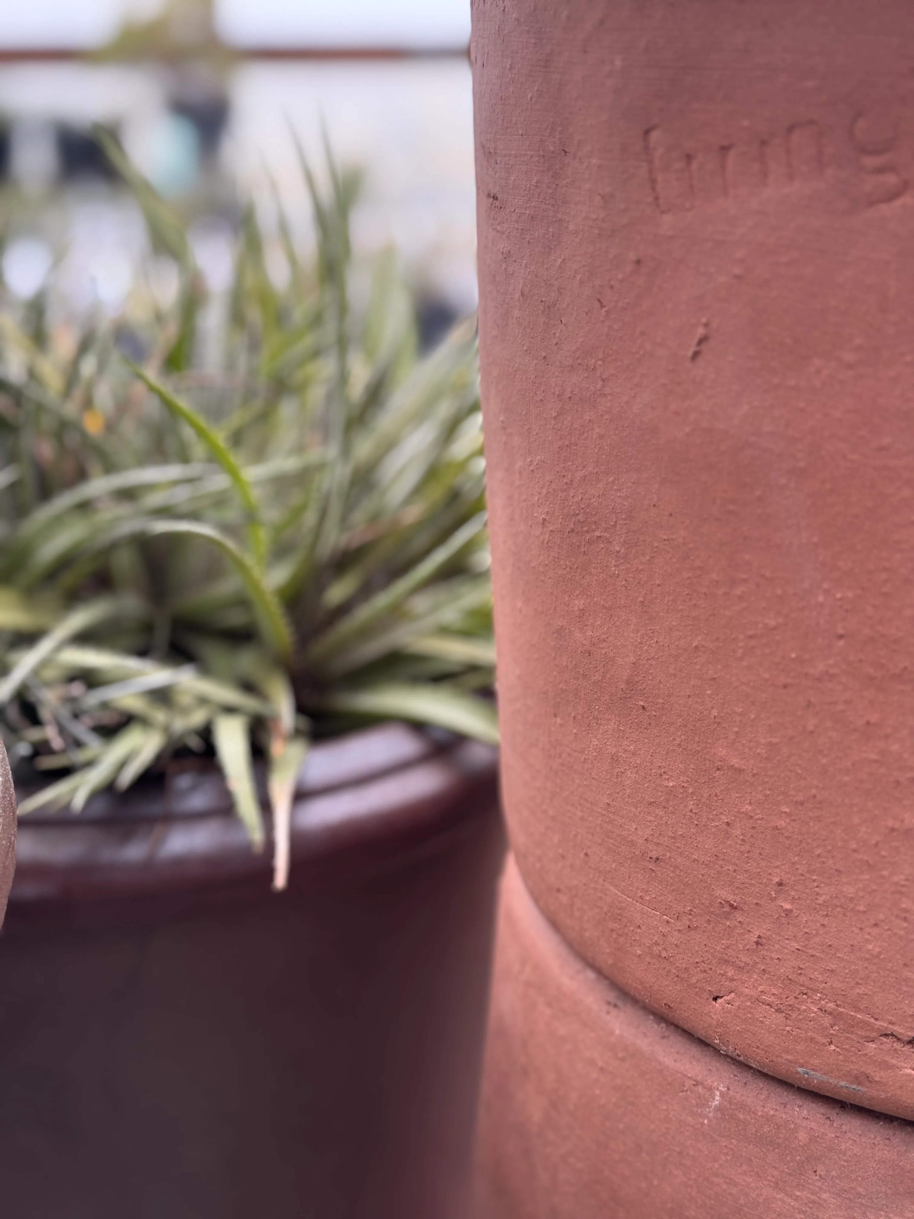 *RETAIL - Bloke Pottery - Rustic Earth - Image 4